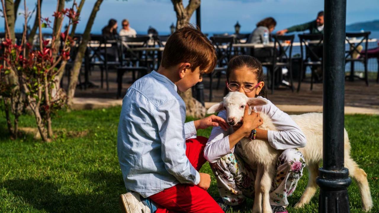 Assos Alis Farm Boutique Hotel & Spa Kültér fotó