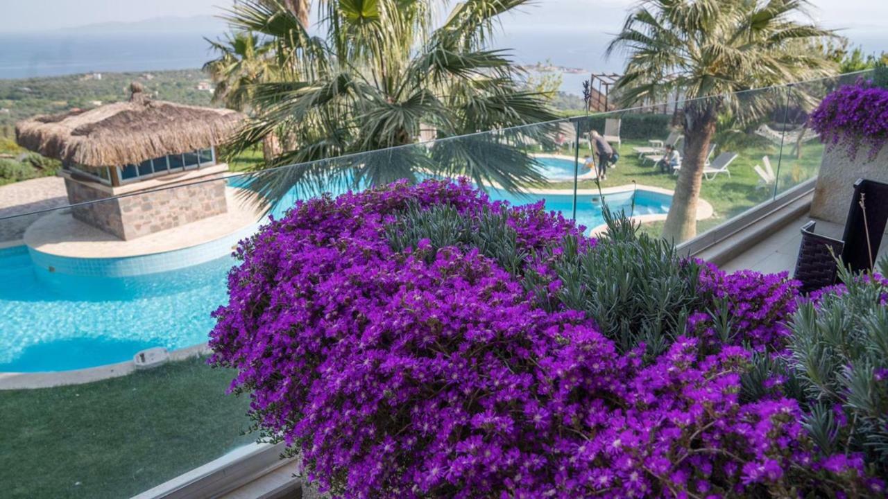 Assos Alis Farm Boutique Hotel & Spa Kültér fotó