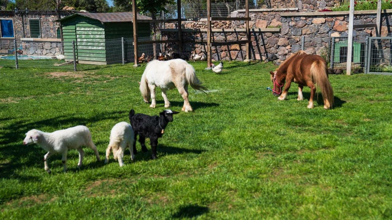 Assos Alis Farm Boutique Hotel & Spa Kültér fotó