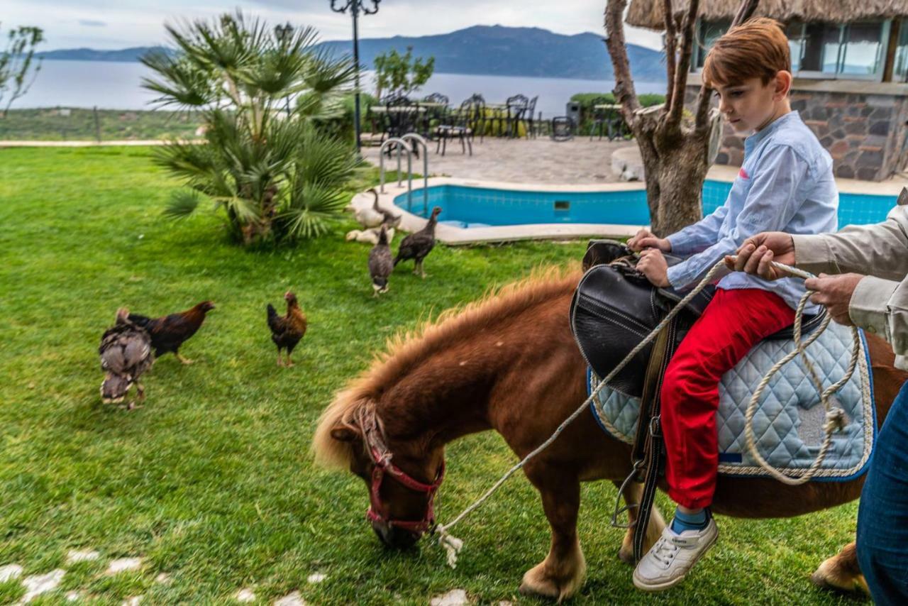 Assos Alis Farm Boutique Hotel & Spa Kültér fotó