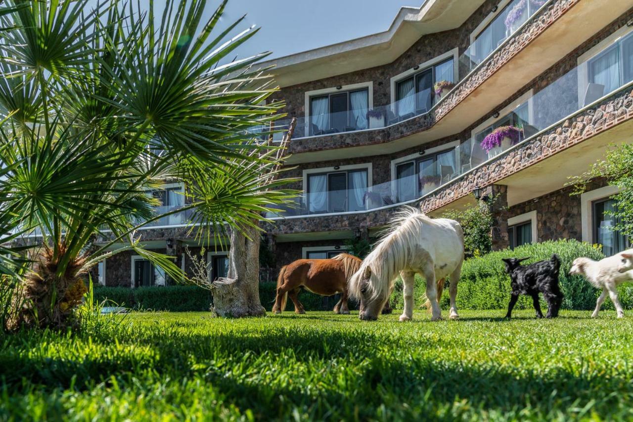 Assos Alis Farm Boutique Hotel & Spa Kültér fotó