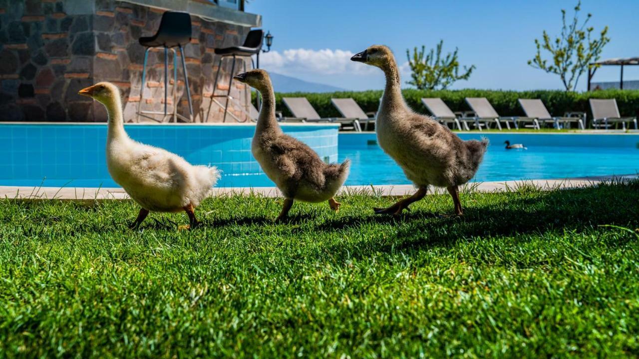 Assos Alis Farm Boutique Hotel & Spa Kültér fotó