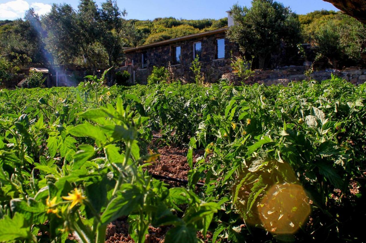 Assos Alis Farm Boutique Hotel & Spa Kültér fotó