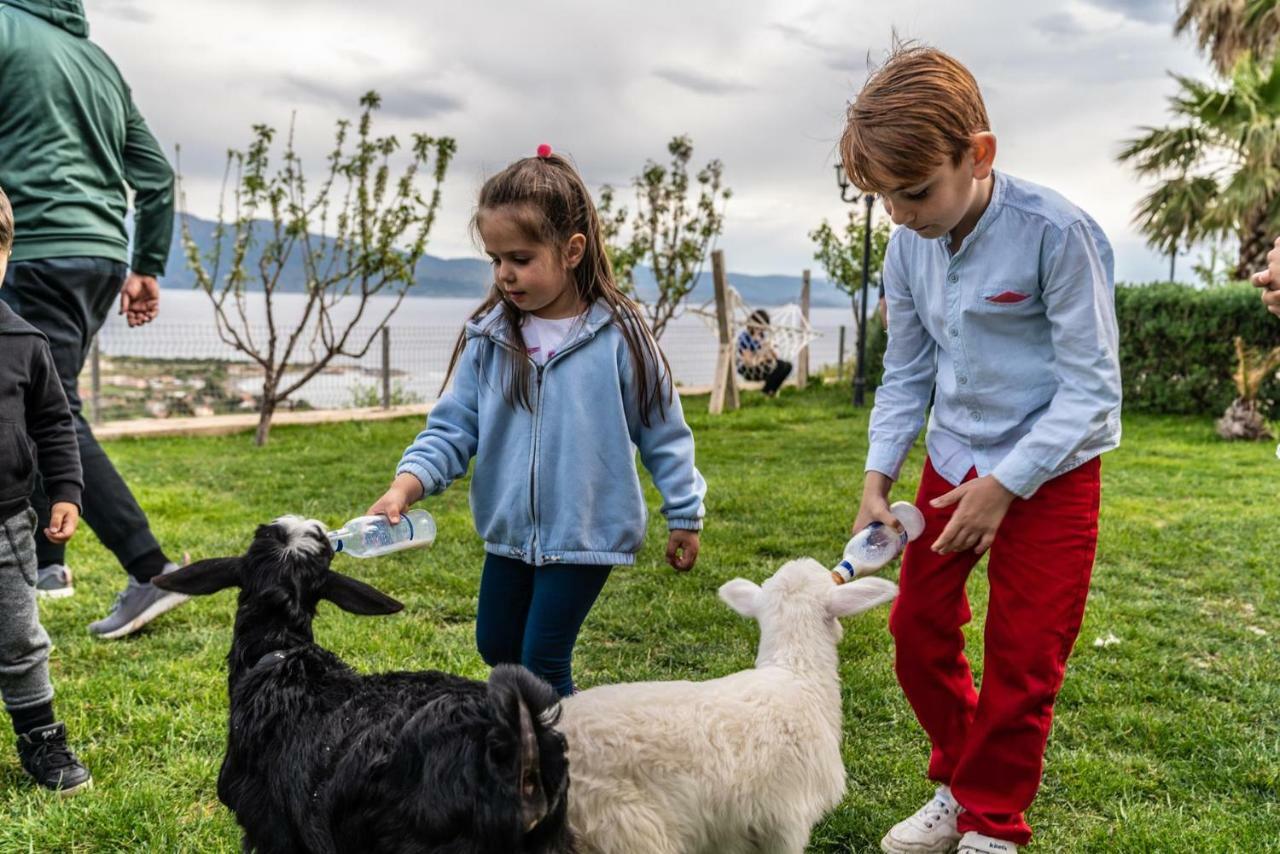 Assos Alis Farm Boutique Hotel & Spa Kültér fotó
