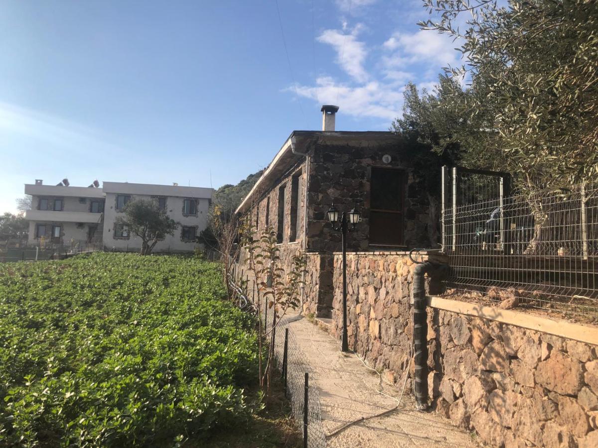 Assos Alis Farm Boutique Hotel & Spa Kültér fotó